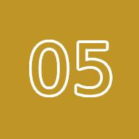 Expert Guidance and Support